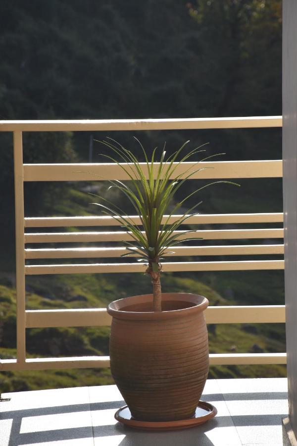 Jot Eco Boutique Stays Dharamshala Ngoại thất bức ảnh